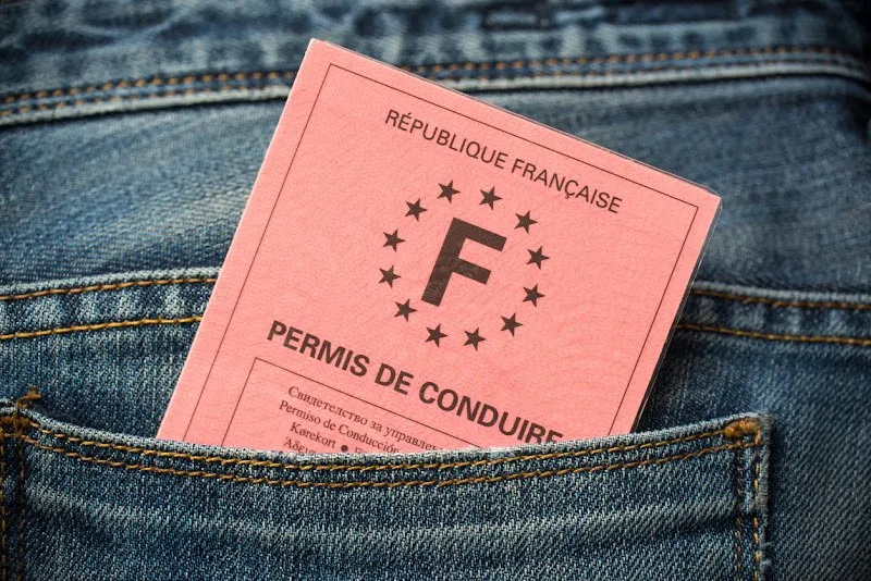 Permis de conduire rose dépassant de la poche arrière d’un jean
