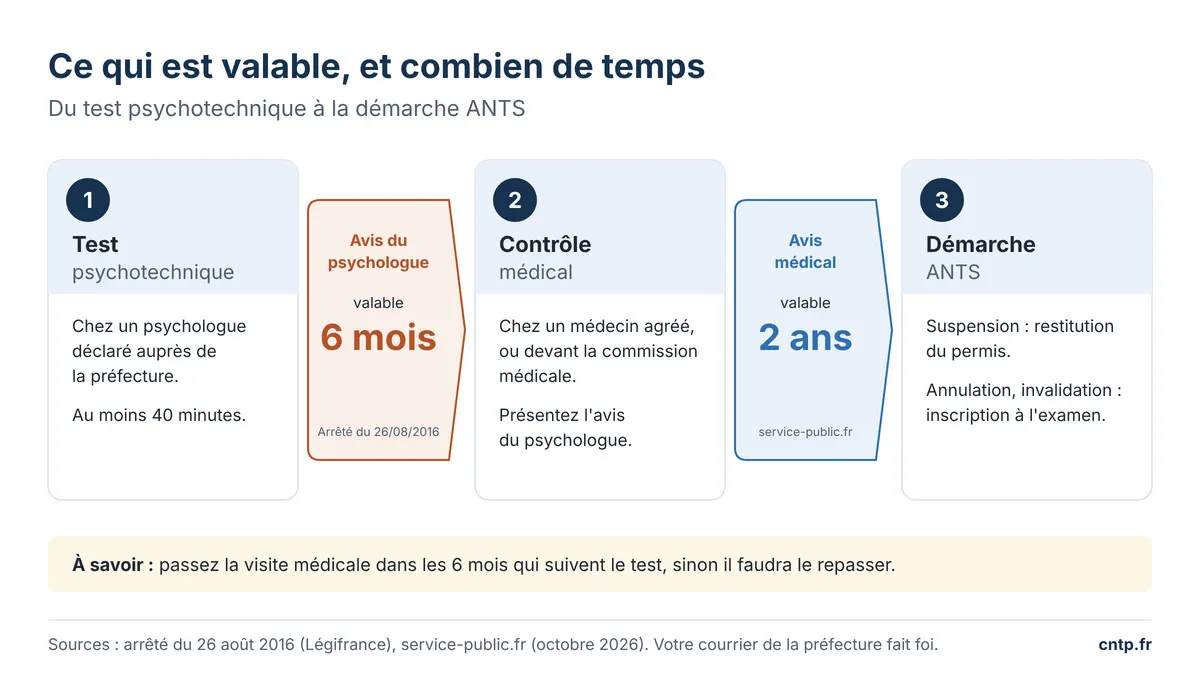 Frise : avis du psychologue valable 6 mois, contrôle médical, avis médical valable 2 ans, démarche ANTS